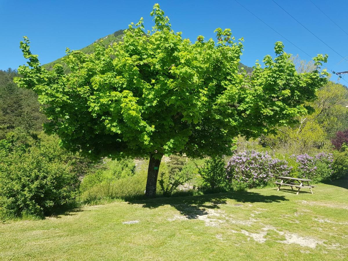 Camping Calme Et Nature Castellane Exteriör bild
