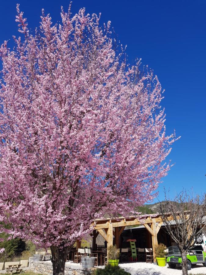 Camping Calme Et Nature Castellane Exteriör bild